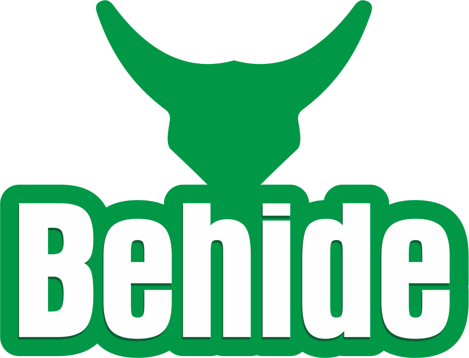 Behide Logo